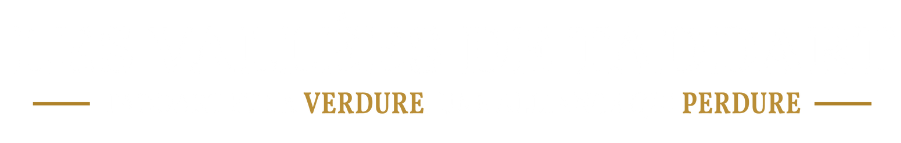 Design sans titre (1)